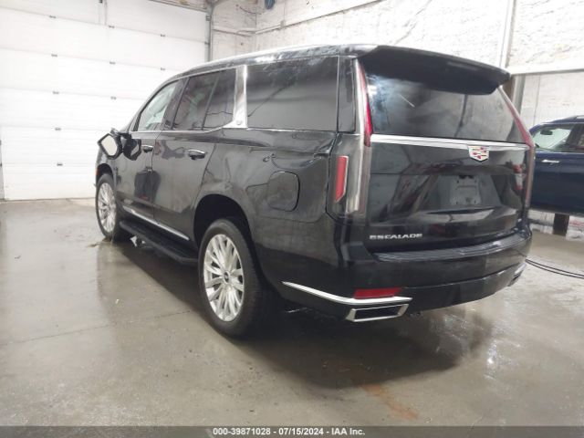 Global Auto Auctions