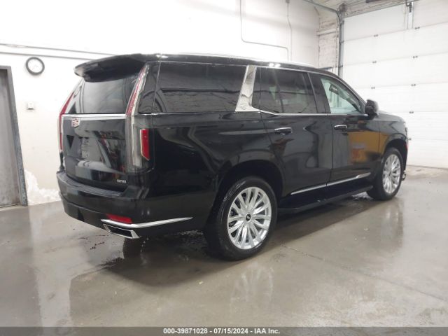 Global Auto Auctions