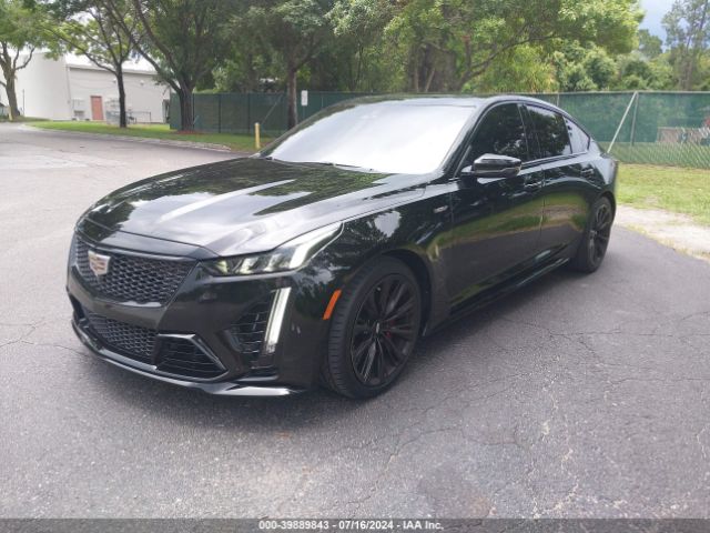 Global Auto Auctions