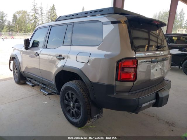 Global Auto Auctions