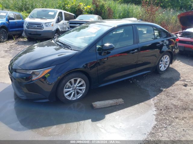 Global Auto Auctions