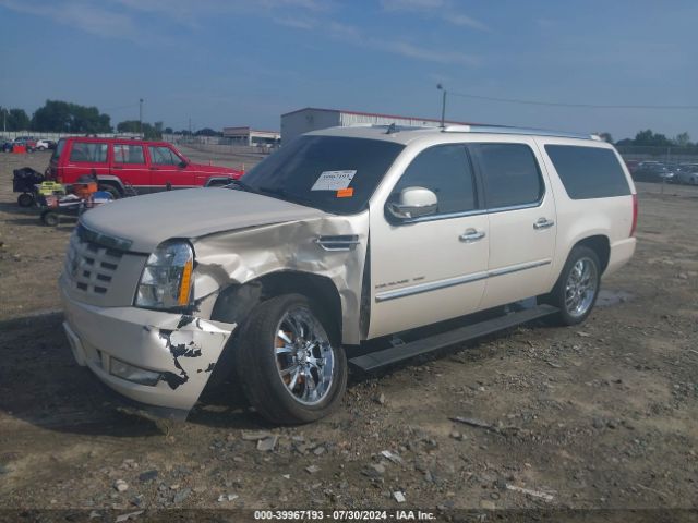 Global Auto Auctions