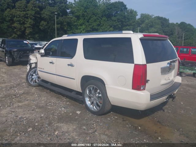 Global Auto Auctions