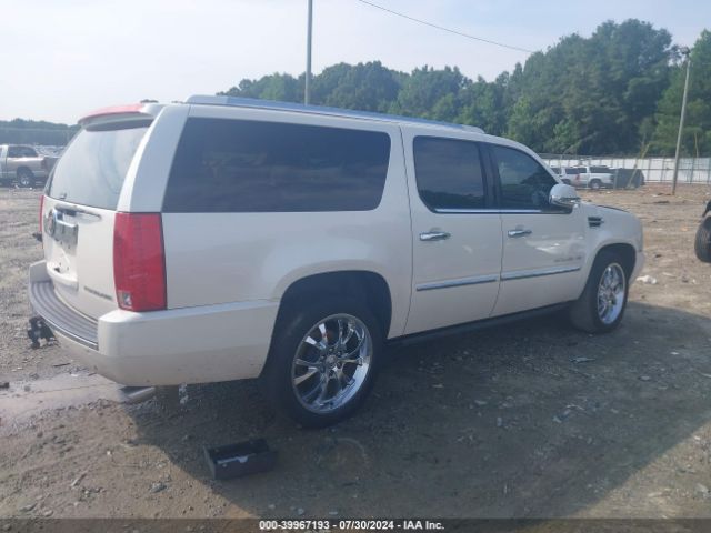 Global Auto Auctions