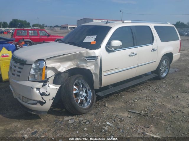 Global Auto Auctions