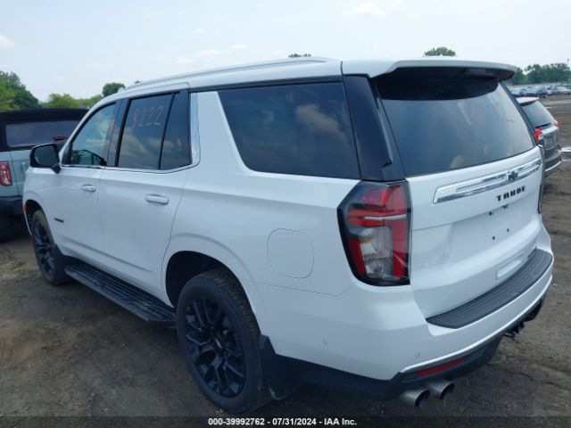 Global Auto Auctions