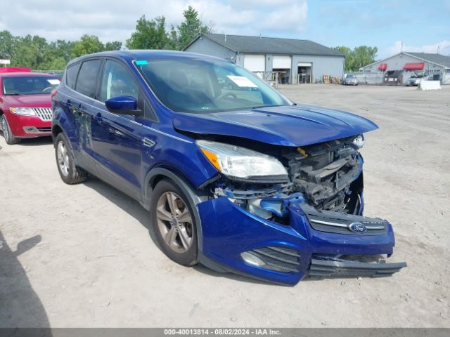  Salvage Ford Escape