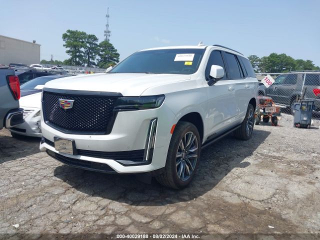 Global Auto Auctions