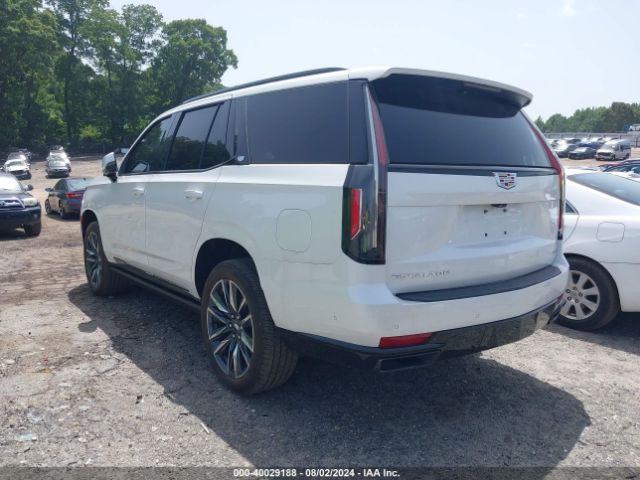 Global Auto Auctions