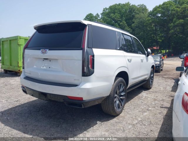 Global Auto Auctions