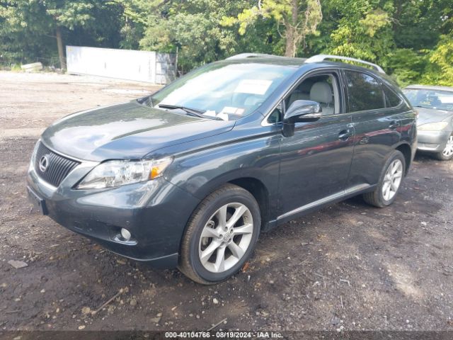 Global Auto Auctions