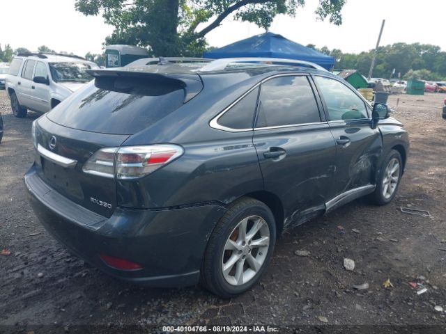 Global Auto Auctions