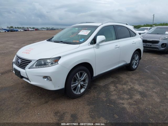 Global Auto Auctions