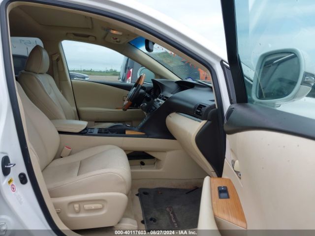 Global Auto Auctions