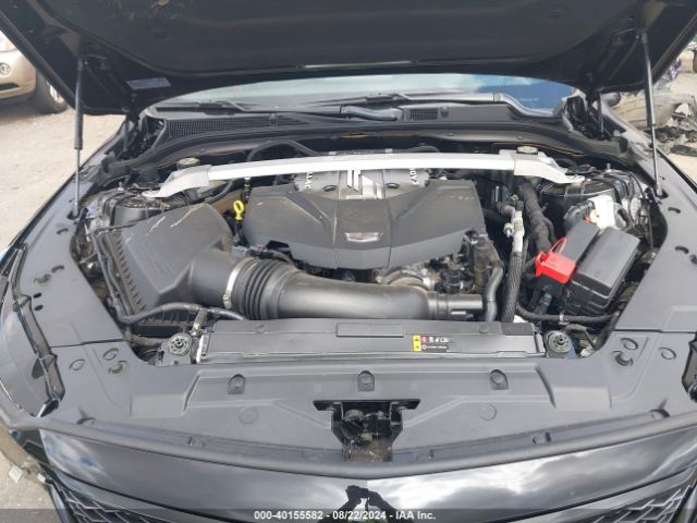 Global Auto Auctions