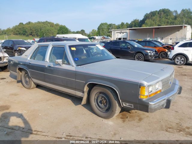 その他 FaB Crown of Providence その他 FaB Crown of Providence Crown of Providence