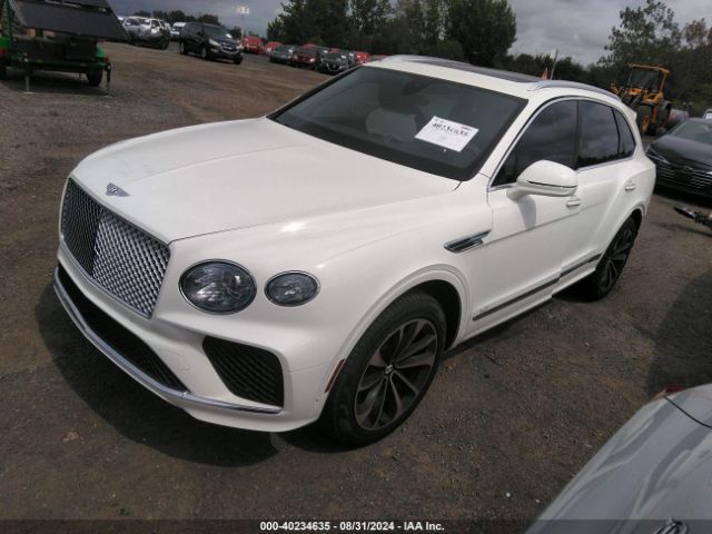 Global Auto Auctions