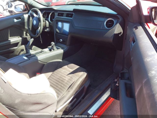 Global Auto Auctions