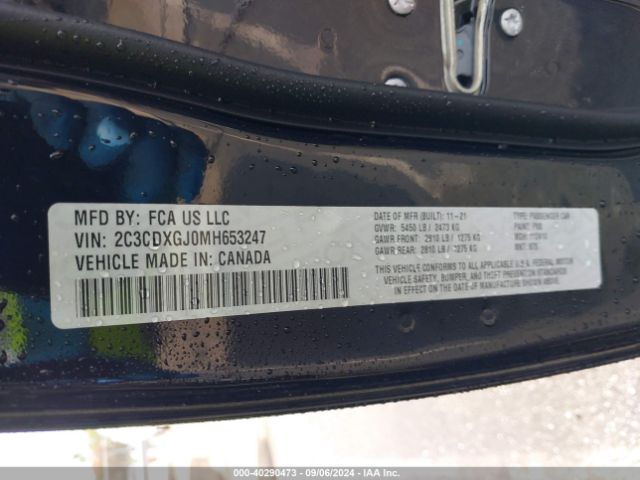 Global Auto Auctions