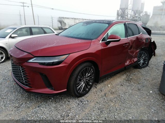 Global Auto Auctions