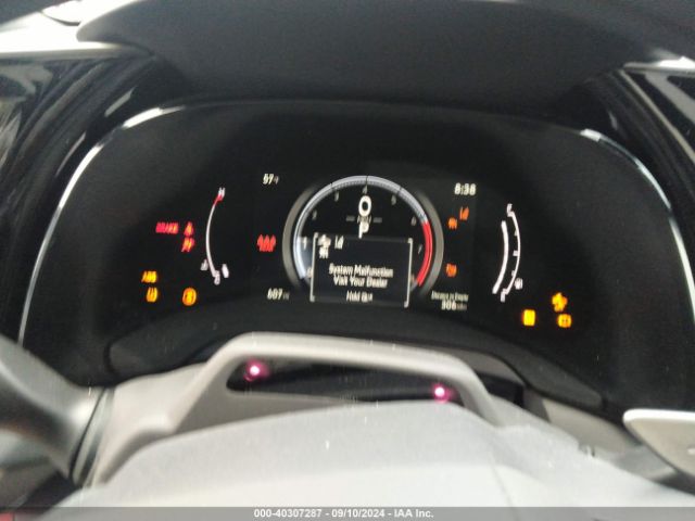 Global Auto Auctions