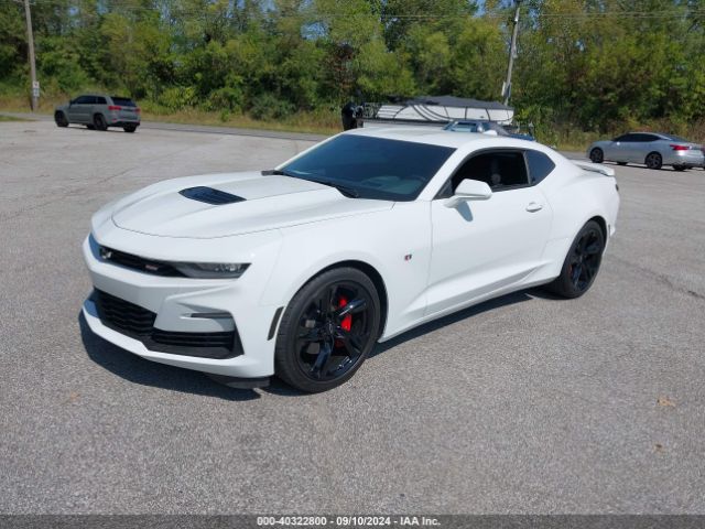 Global Auto Auctions