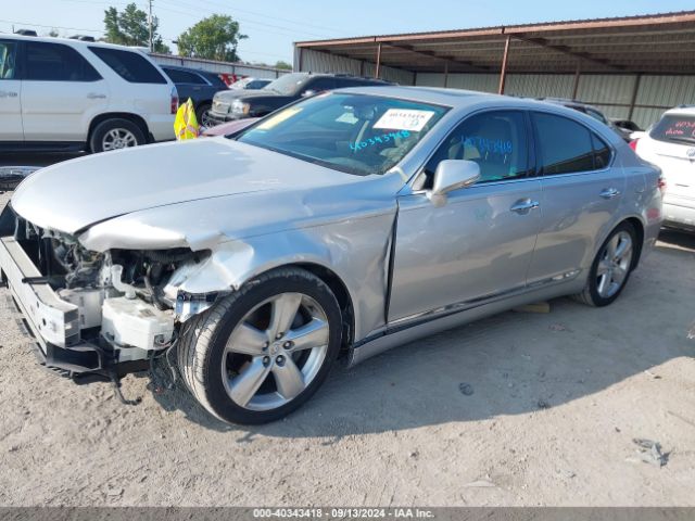 Global Auto Auctions