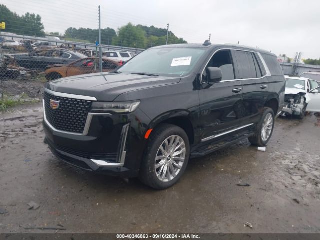 Global Auto Auctions