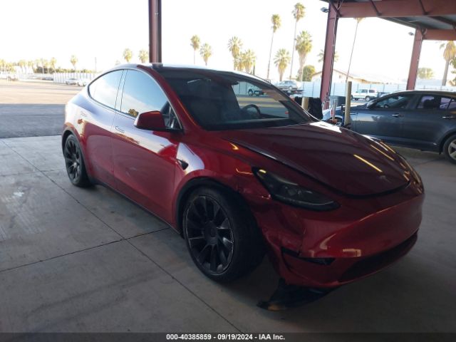  Salvage Tesla Model Y