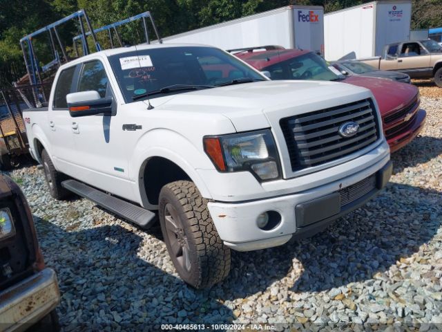  Salvage Ford F-150