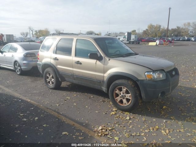  Salvage Ford Escape