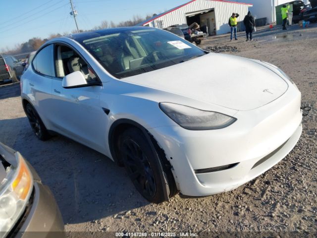  Salvage Tesla Model Y