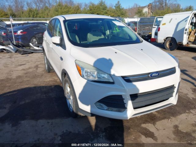  Salvage Ford Escape