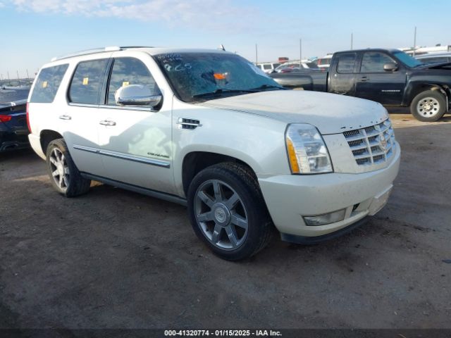  Salvage Cadillac Escalade