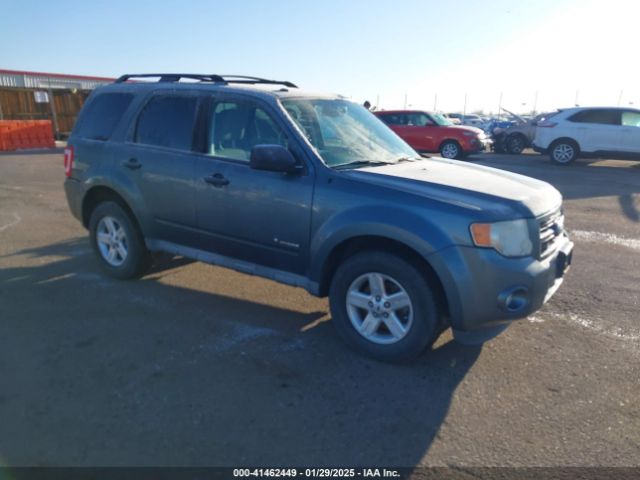  Salvage Ford Escape