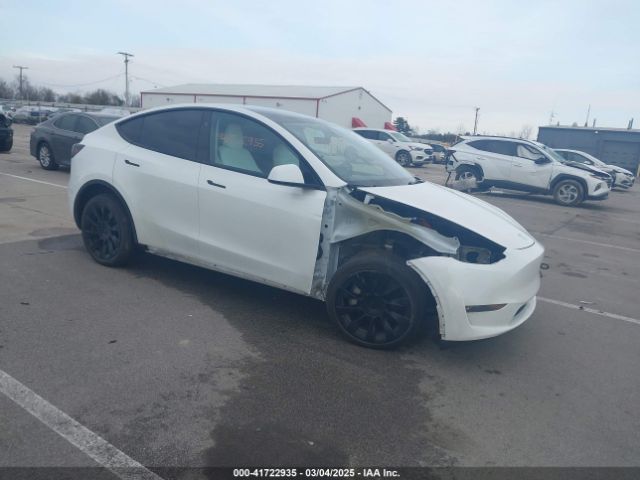  Salvage Tesla Model Y