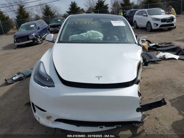 Tesla Model Y for Sale