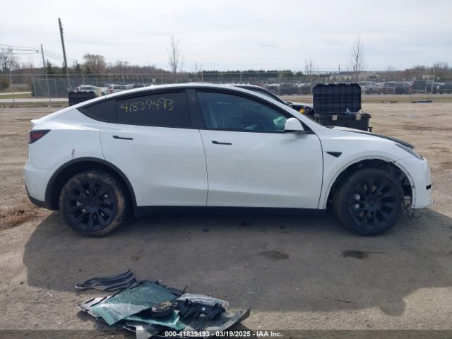Tesla Model Y for Sale