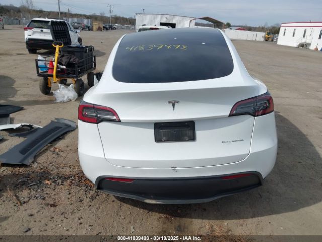 Tesla Model Y for Sale