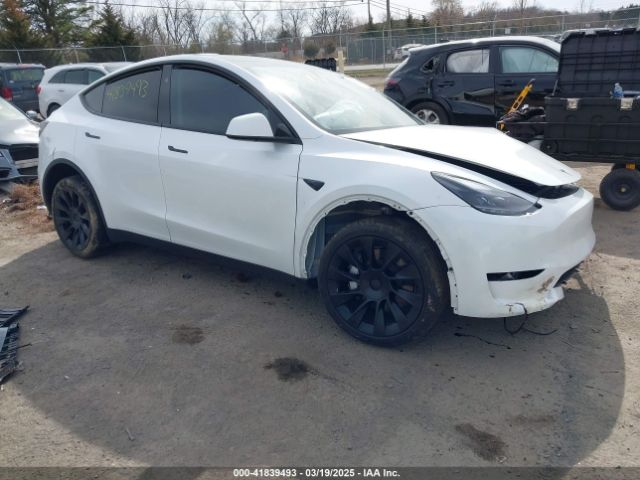 Tesla Model Y for Sale
