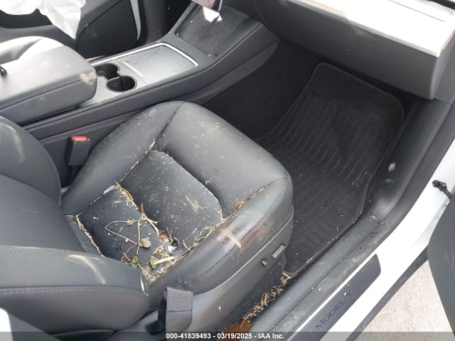 Tesla Model Y for Sale