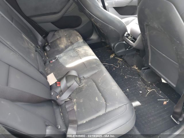 Tesla Model Y for Sale
