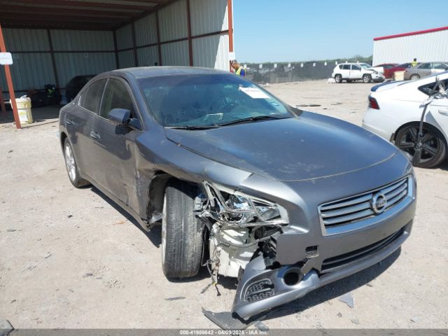  Salvage Nissan Maxima