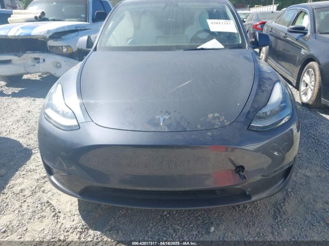 Tesla Model Y for Sale