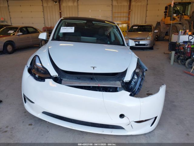Tesla Model Y for Sale