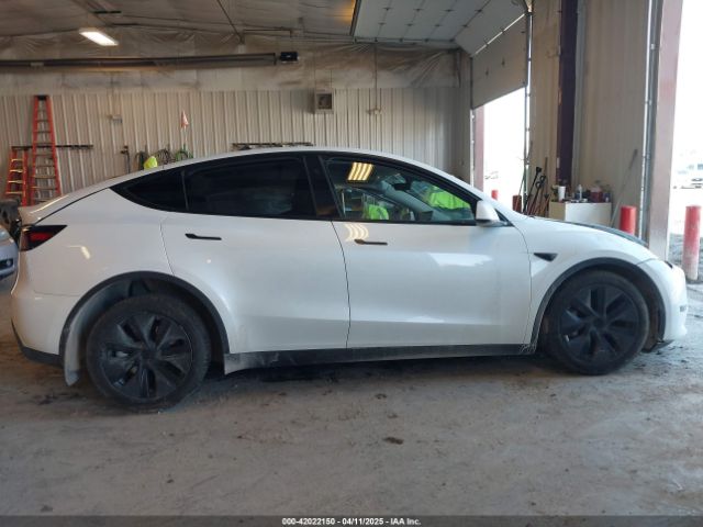 Tesla Model Y for Sale