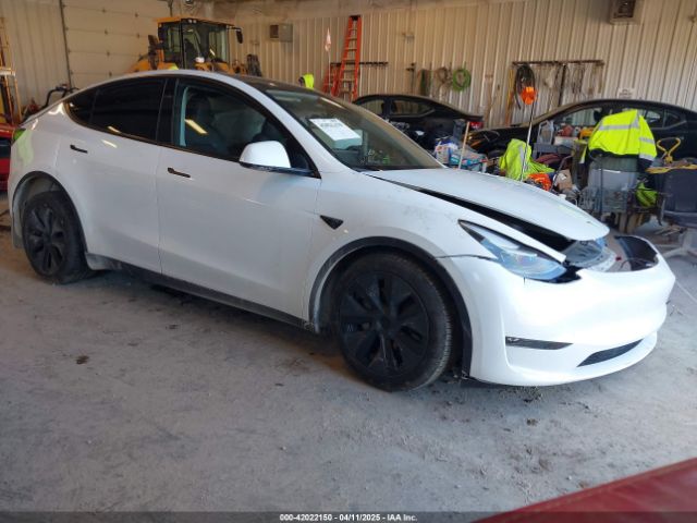 Tesla Model Y for Sale
