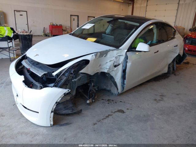 Tesla Model Y for Sale