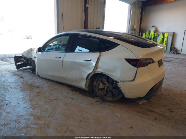 Tesla Model Y for Sale