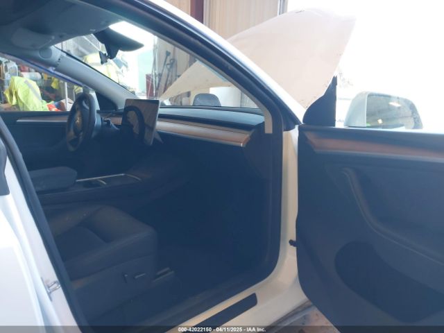 Tesla Model Y for Sale